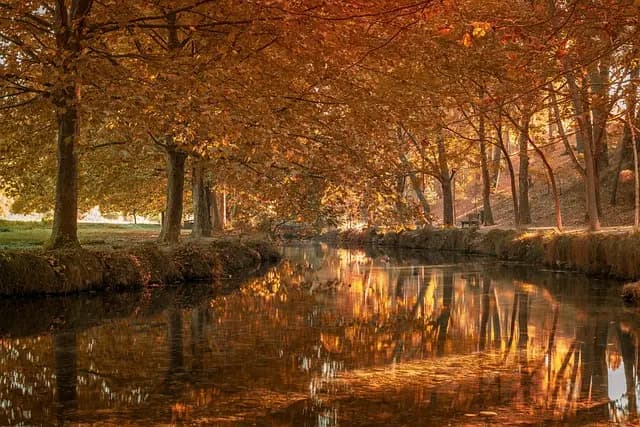 Aménager les Combles de Votre Maison : Guide Technique